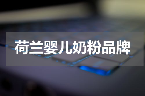 荷兰婴儿奶粉品牌