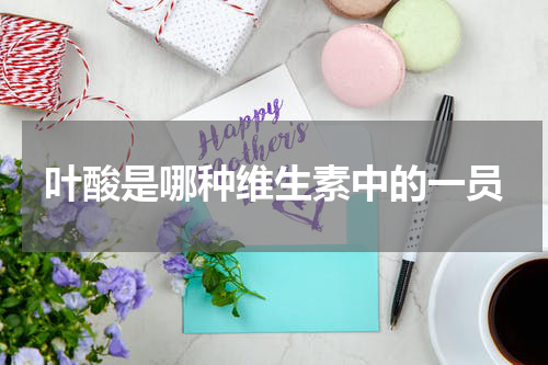 叶酸是哪种维生素中的一员