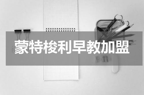 蒙特梭利早教加盟