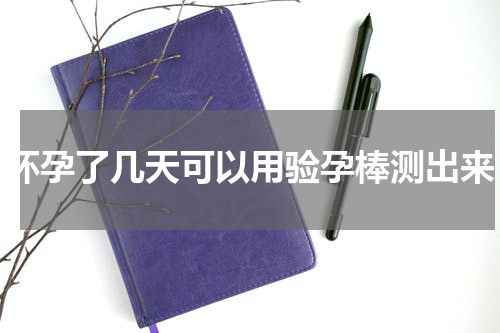 怀孕了几天可以用验孕棒测出来