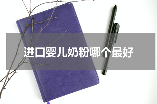 进口婴儿奶粉哪个最好