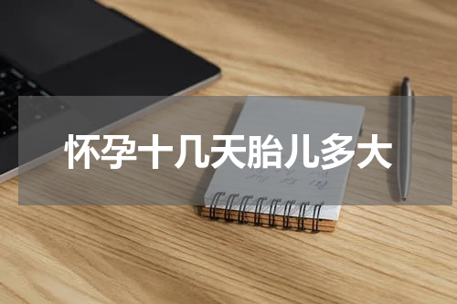 怀孕十几天胎儿多大