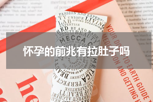 怀孕的前兆有拉肚子吗