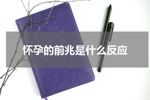 怀孕的前兆是什么反应