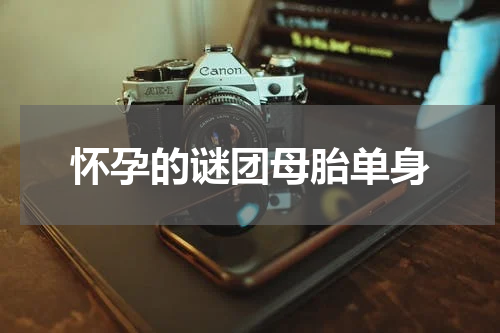 怀孕的谜团母胎单身