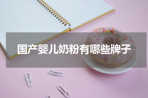 国产婴儿奶粉有哪些牌子