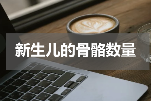 新生儿的骨骼数量