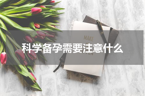 科学备孕需要注意什么