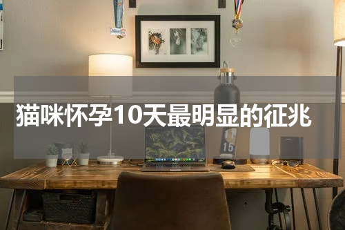 猫咪怀孕10天最明显的征兆