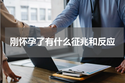 刚怀孕了有什么征兆和反应