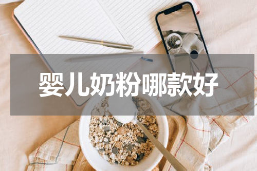 婴儿奶粉哪款好