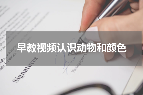 早教视频认识动物和颜色