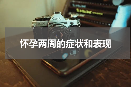 怀孕两周的症状和表现
