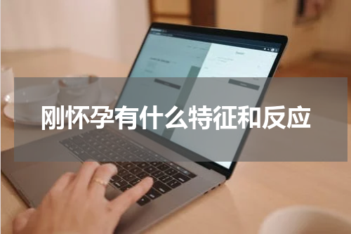 刚怀孕有什么特征和反应