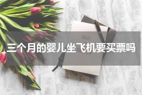三个月的婴儿坐飞机要买票吗