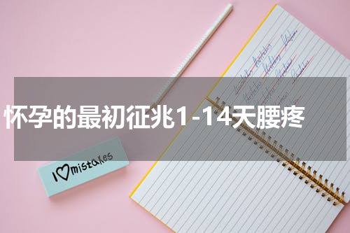 怀孕的最初征兆1-14天腰疼