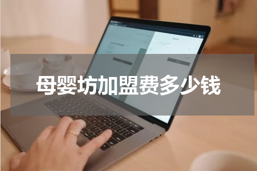 母婴坊加盟费多少钱