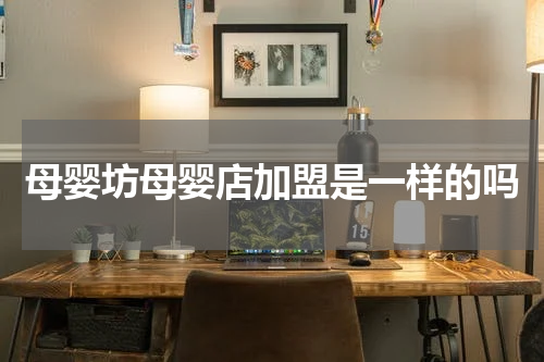 母婴坊母婴店加盟是一样的吗
