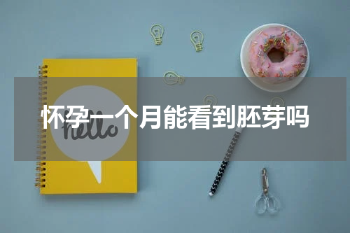 怀孕一个月能看到胚芽吗