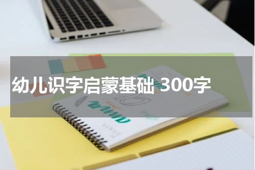 幼儿识字启蒙基础 300字