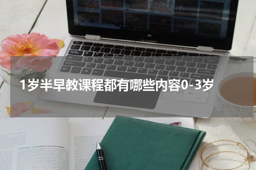 1岁半早教课程都有哪些内容0-3岁