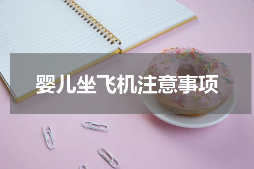 婴儿坐飞机注意事项