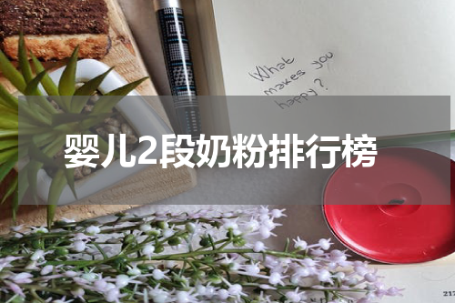 婴儿2段奶粉排行榜