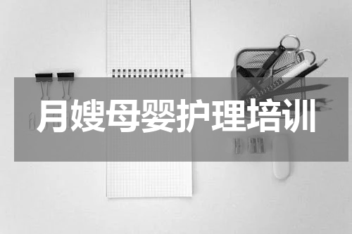 月嫂母婴护理培训