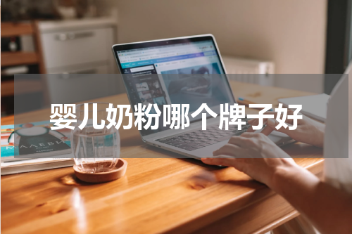 婴儿奶粉哪个牌子好