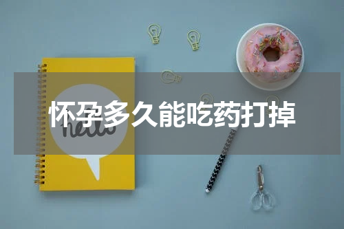 怀孕多久能吃药打掉
