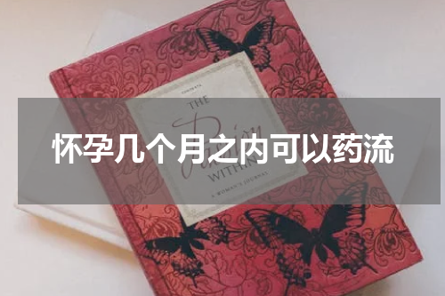 怀孕几个月之内可以药流