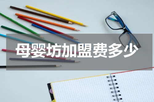 母婴坊加盟费多少