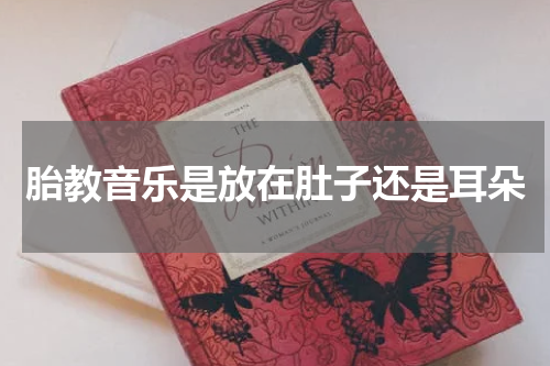 胎教音乐是放在肚子还是耳朵