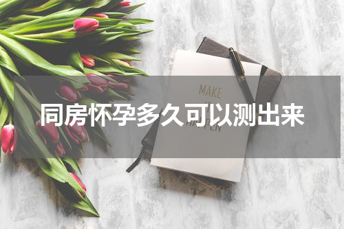 同房怀孕多久可以测出来