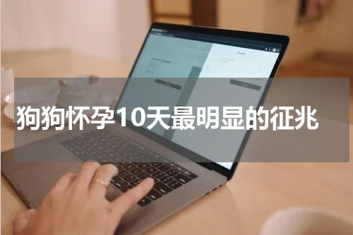 狗狗怀孕10天最明显的征兆