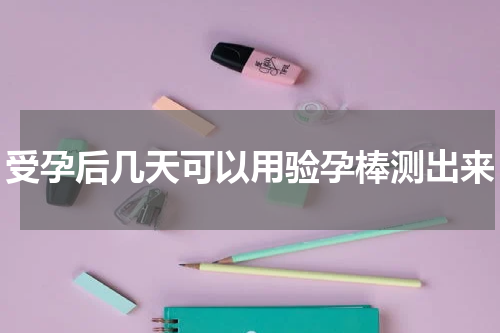 受孕后几天可以用验孕棒测出来