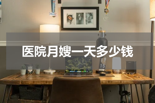 医院月嫂一天多少钱