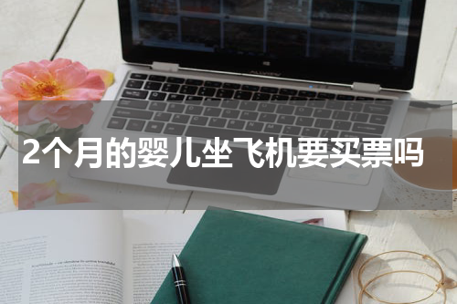 2个月的婴儿坐飞机要买票吗