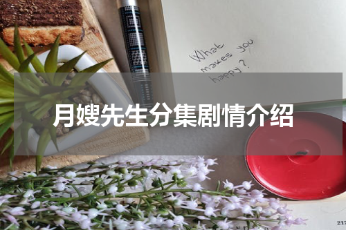 月嫂先生分集剧情介绍