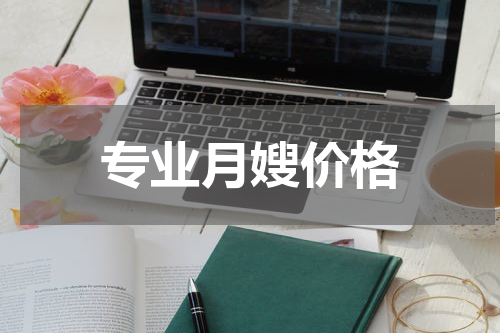 专业月嫂价格