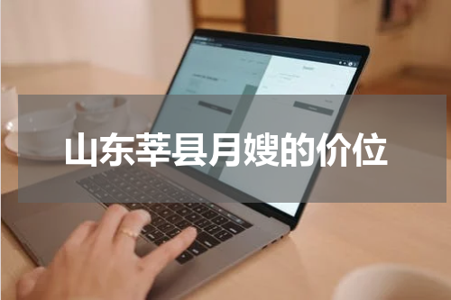 山东莘县月嫂的价位