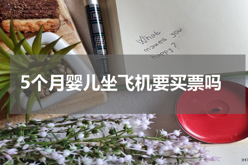 5个月婴儿坐飞机要买票吗