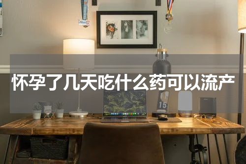 怀孕了几天吃什么药可以流产