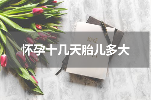 怀孕十几天胎儿多大