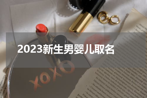 2023新生男婴儿取名