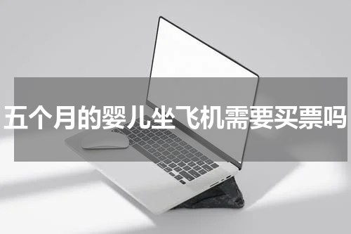 五个月的婴儿坐飞机需要买票吗