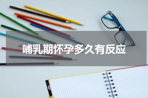 哺乳期怀孕多久有反应