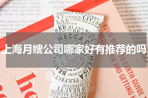 上海月嫂公司哪家好有推荐的吗