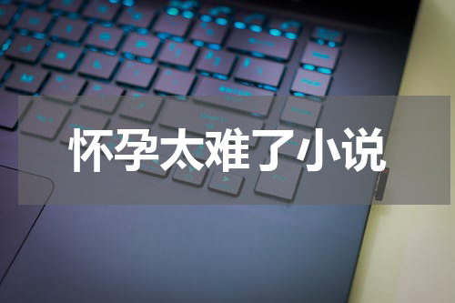 怀孕太难了小说