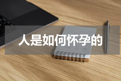人是如何怀孕的